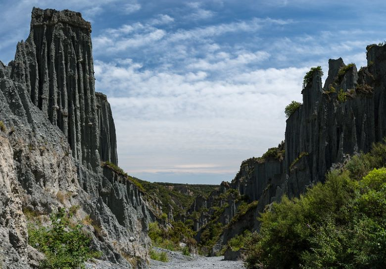 A canyon with a lot of rocks and trees