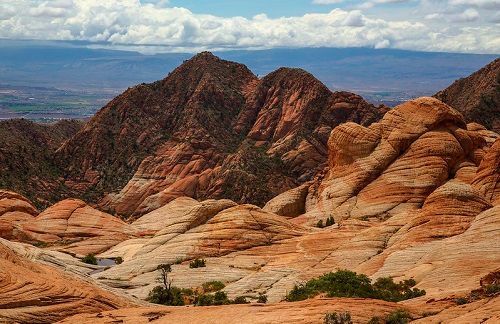 Red Cliffs National Conservation Area