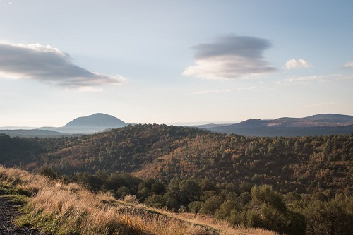 A view of a valley in Kaibab National Forest