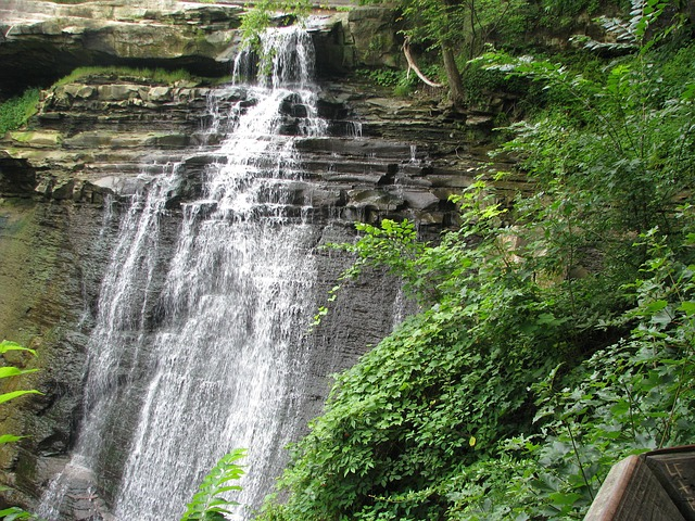 A waterfall is surrounded by trees and rocks in the middle of cuyahoga valley np