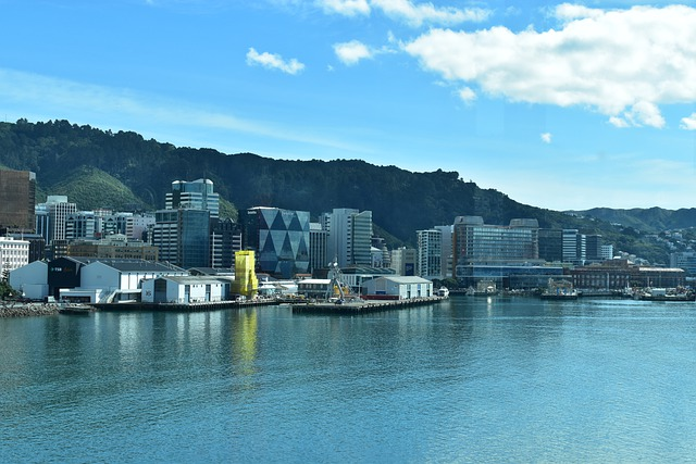 A large body of water with Wellington in the background