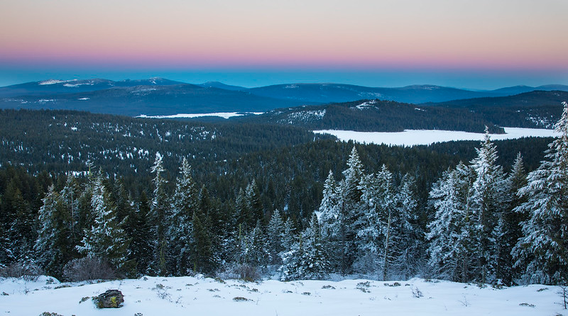A snowy forest with mountains in the background and a lake in the foreground in Cascade-Siskiyou National Monument