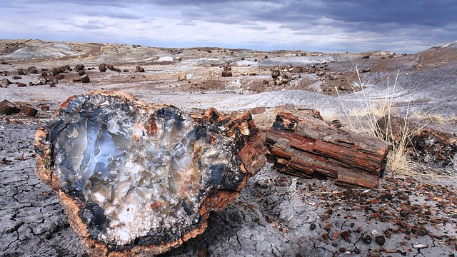 A large rock is sitting in the middle of a desert in petrified forest np