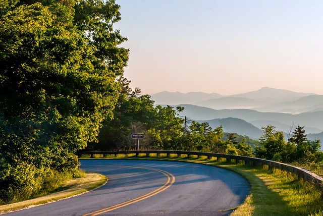 A winding road in Great Smoky Mountains NP with trees on both sides and mountains in the background.