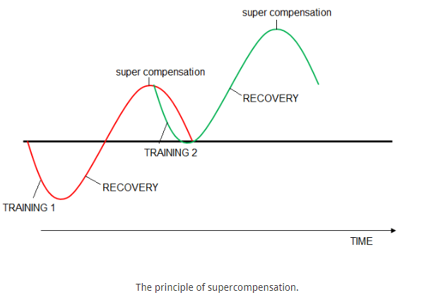 Um gráfico mostrando o princípio da supercompensação