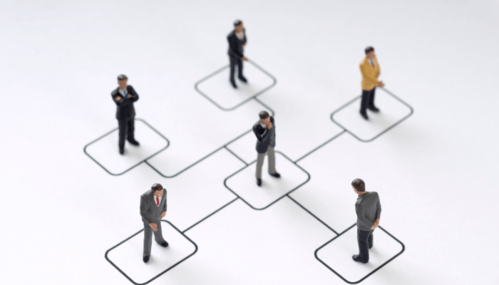 3D org chart