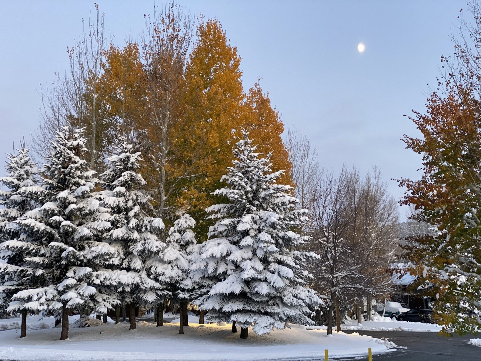 Aspen Equestrian HOA Integrated Mountain Group