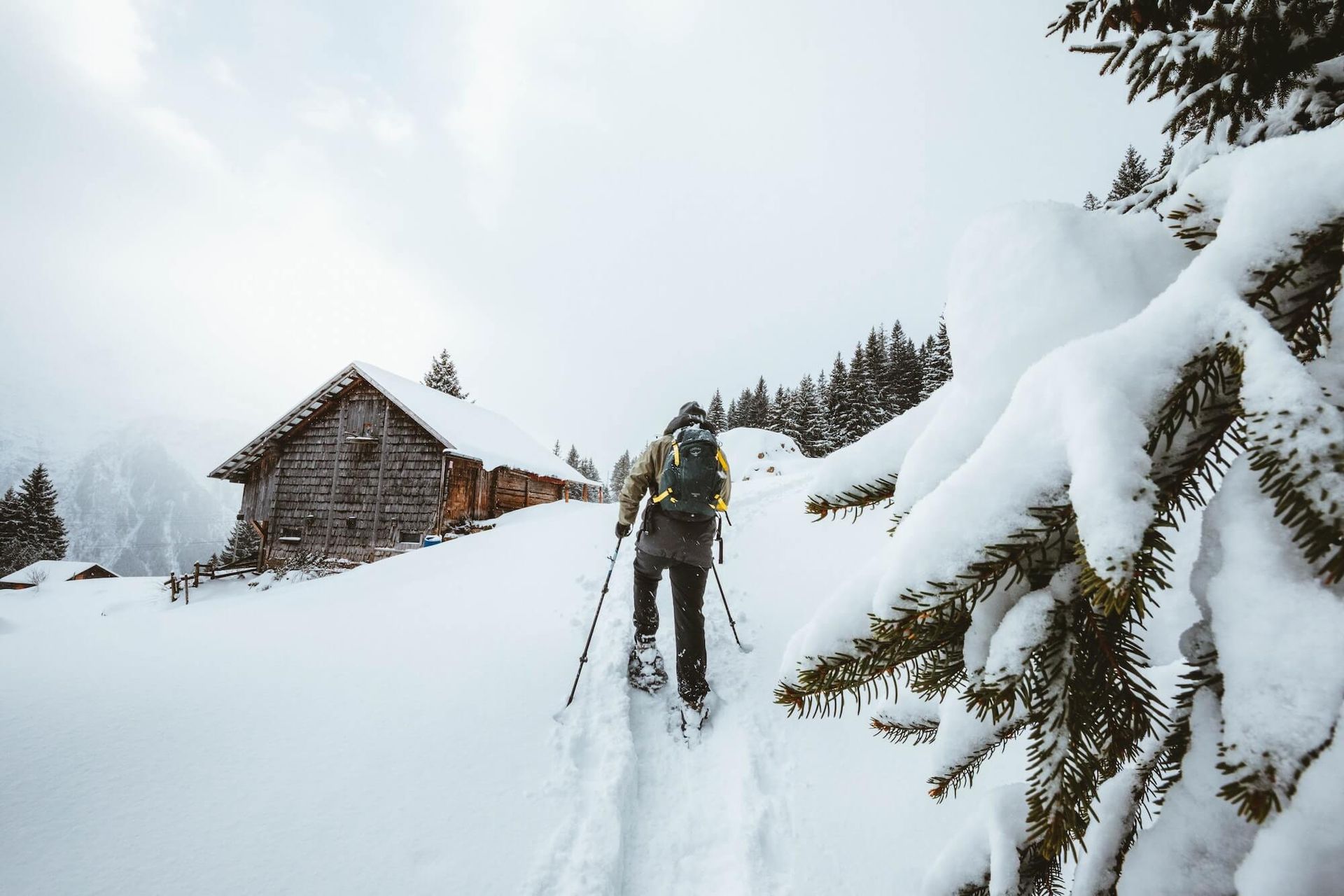 Glenwood Springs Real Estate Services