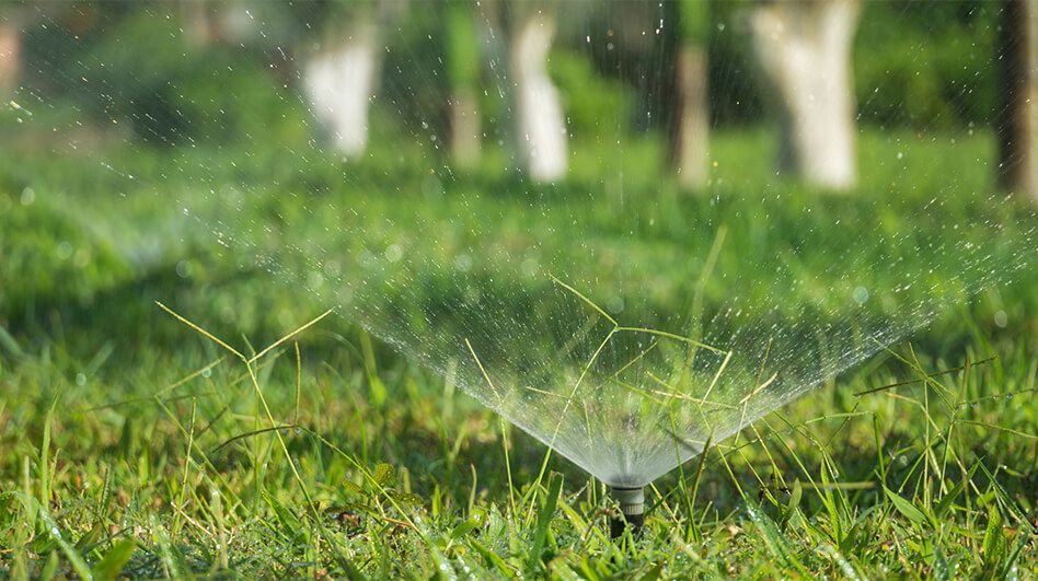 Irrigation Start-up & Maintenance Services