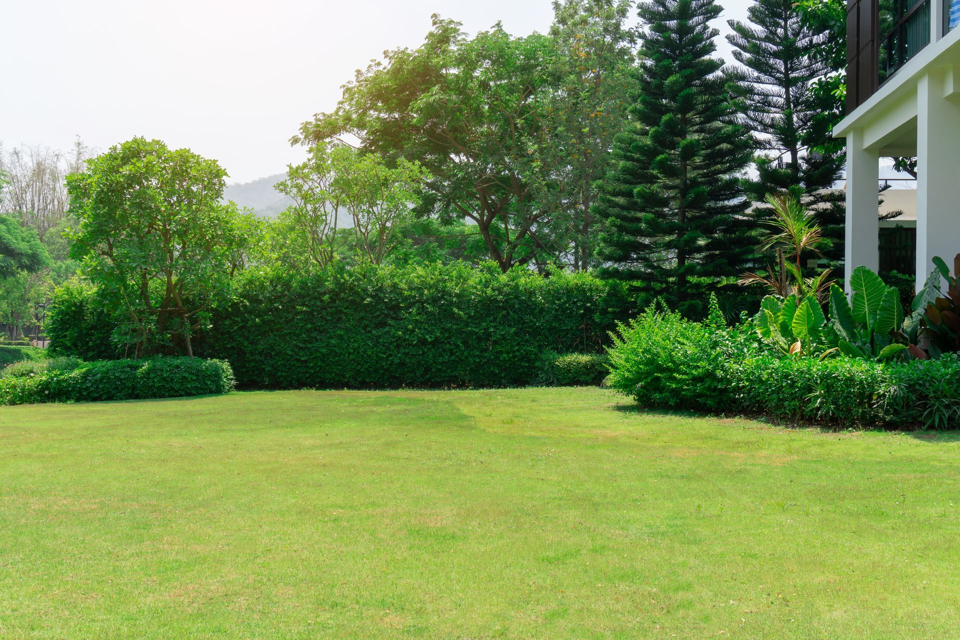 Tree Service Irvine