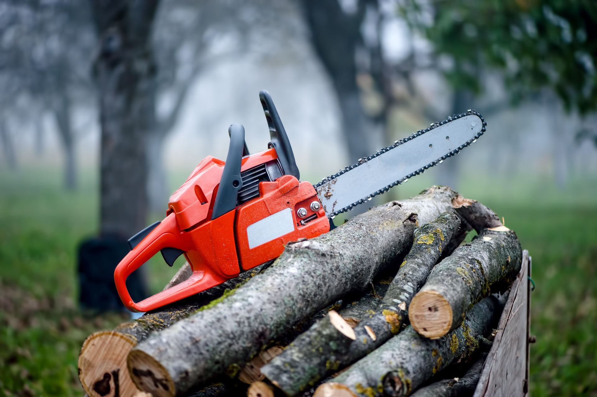 Tree Cutting Irvine