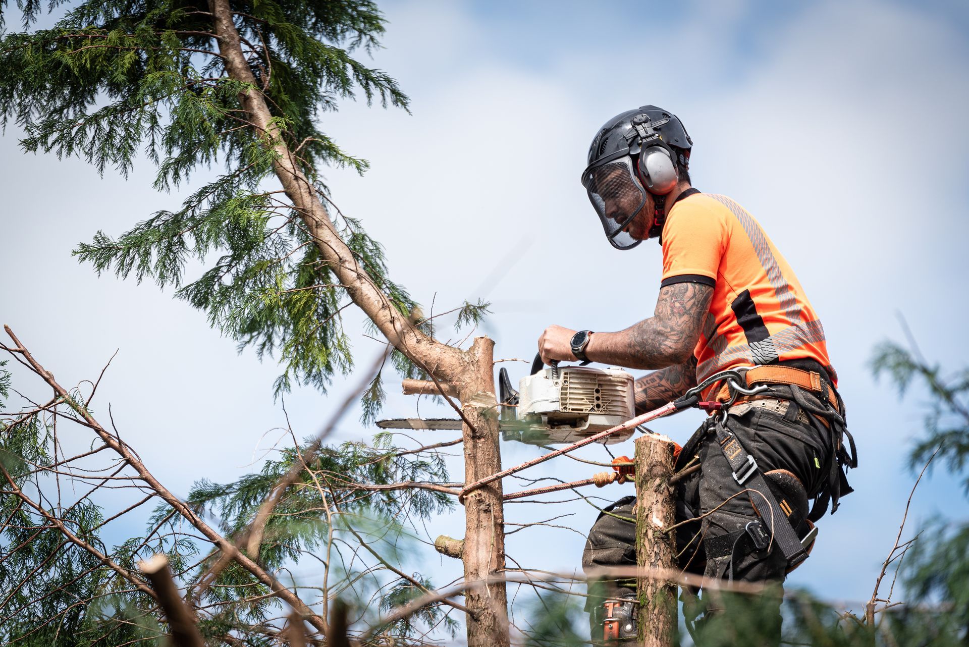Importance of Tree Pruning