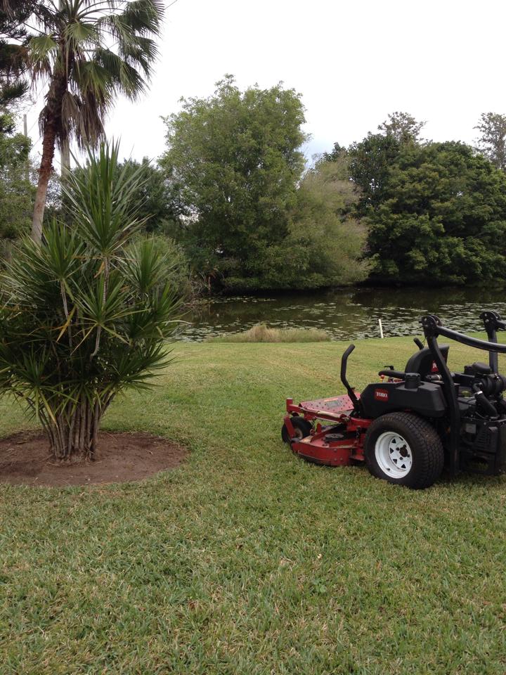 A red Toro zero-turn mower sits on a green lawn near a palm tree, with a pond and trees in the background.