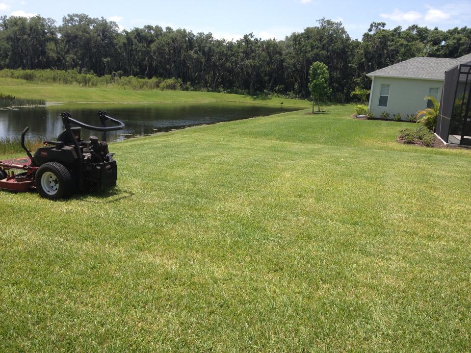 A zero-turn lawn mower sits on a grassy yard next to a pond and a house with a screened-in porch under a bright sky.
