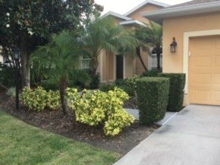 A tan stucco house with a driveway, featuring landscaped shrubs and palm trees in the front yard.