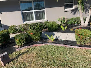A residential front yard garden with green shrubs, small plants, and red brick edging bordering a patch of grass.