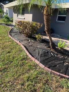 A landscape bed covered in black weed fabric with curved paver edging next to a house with a palm tree and shrubs.