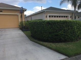 A suburban street view showing a beige house, a concrete driveway with a basketball hoop, and a large, manicured hedge.