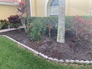 A garden bed with dark mulch, colorful croton plants, and a palm tree trunk, bordered by decorative stones against a house.