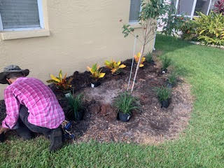 A person in a pink plaid shirt and hat kneels to plant small shrubs in a mulched garden bed beside a house.