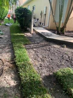 Workers laying fresh sod on a dirt patch along a house foundation and a concrete walkway.