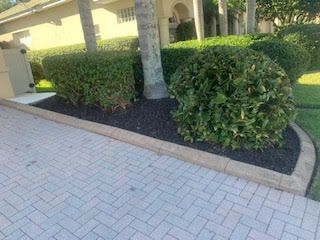 A paved driveway border featuring concrete curbing, dark mulch, a manicured hedge, and two green bushes by a house.