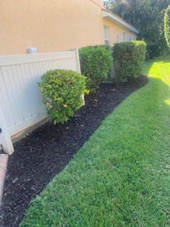 A white fence runs alongside a house wall, with small green shrubs planted in a bed of black mulch next to a green lawn.