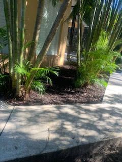 A large rectangular mirror placed in a garden, reflecting palm trees and part of a house behind it.