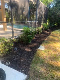 A row of green bushes planted in dark mulch along a screen-enclosed pool area, next to a patch of grass.