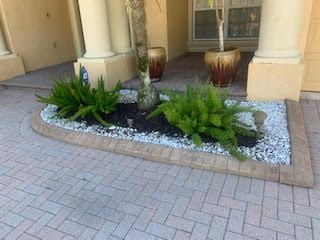 A curved landscaping bed with two ferns and a palm tree, bordered by beige bricks and surrounded by white gravel.