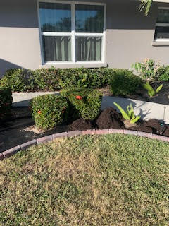Landscaped garden bed with trimmed bushes, dark mulch, and aloe plants in front of a house with a white-trimmed window.