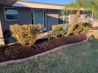 A gray house with a light blue door, featuring a landscaped garden bed with mulch, small shrubs, and a palm tree.