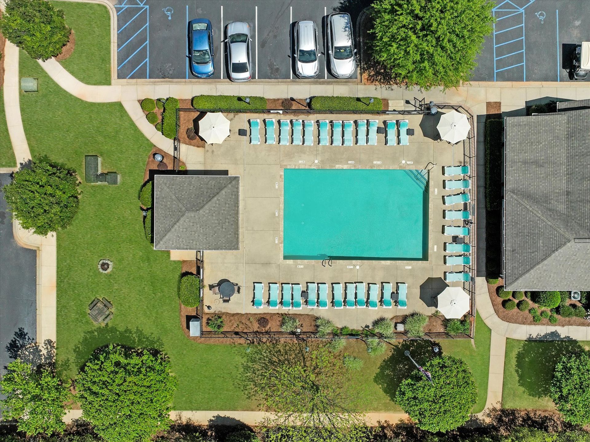 birdseye