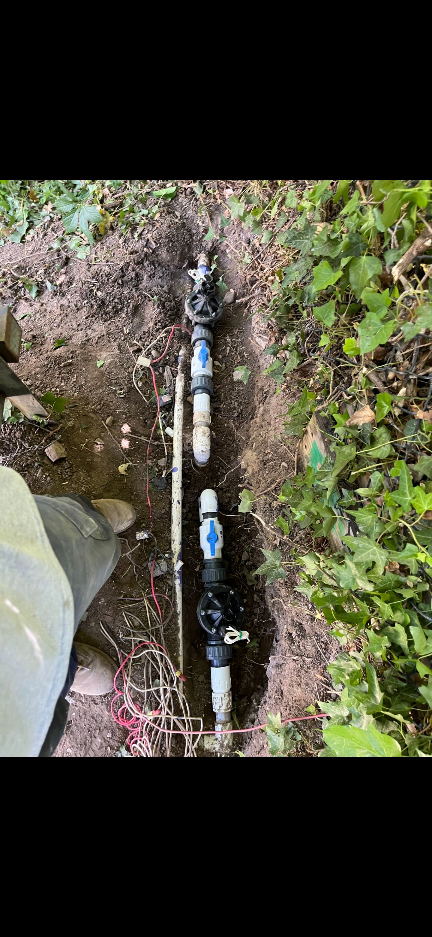 Underground pipe with white PVC fittings running through soil beside a concrete edge and greenery