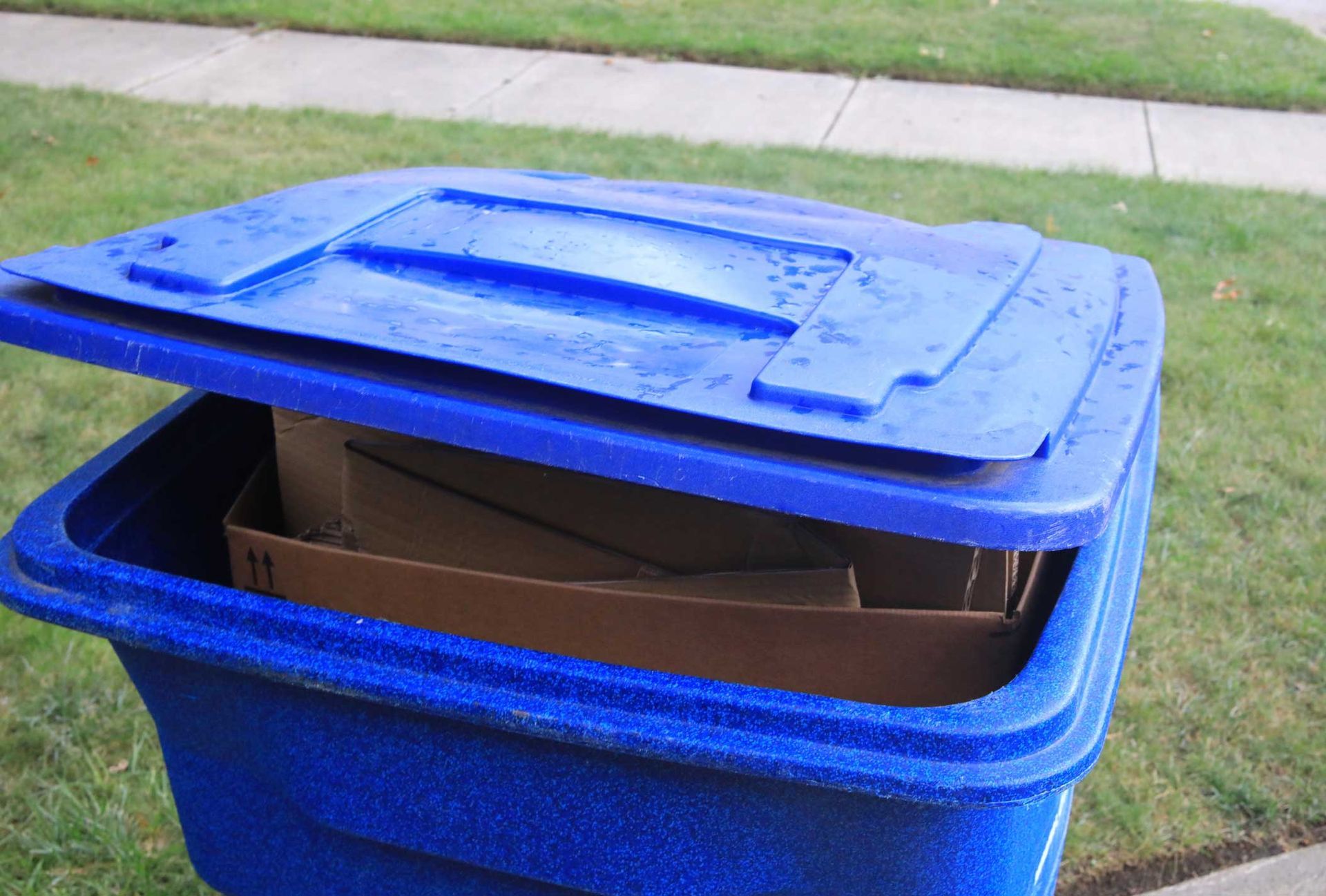 Dumpster — Genesee, ID — Top Notch Soft Wash Dumpster — Genesee, ID — Top Notch Soft Wash
