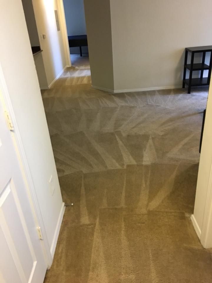 A hallway in a house with a carpeted floor
