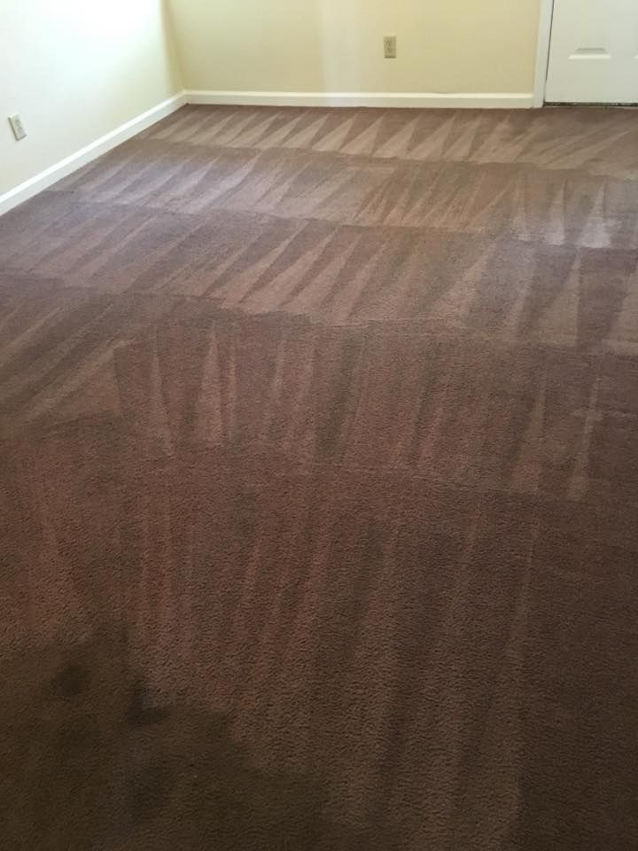 A room with a brown carpet and white walls.