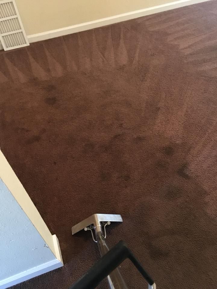 A room with a brown carpet and a vacuum on the floor