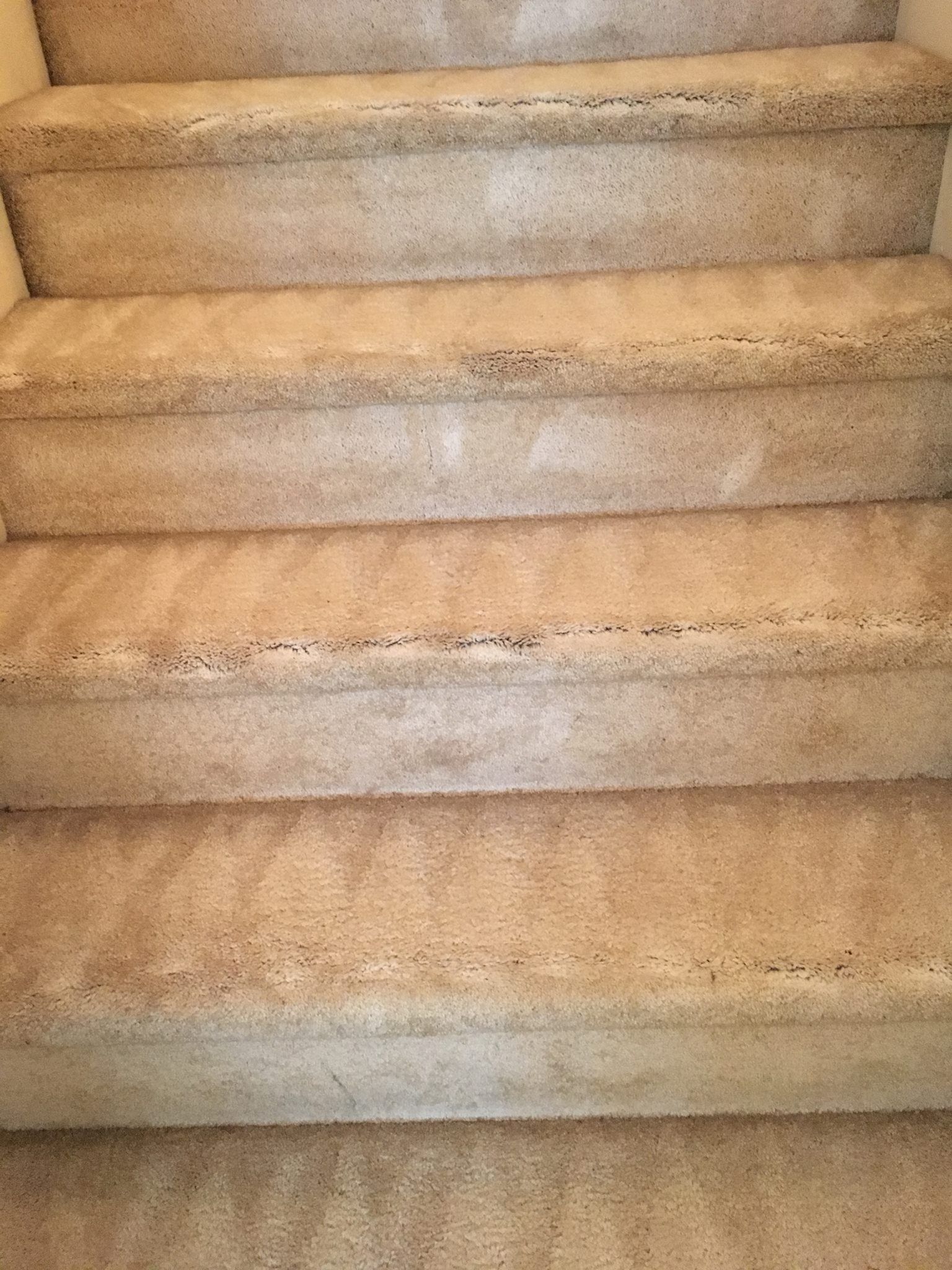 A close up of a set of stairs with carpet on them.
