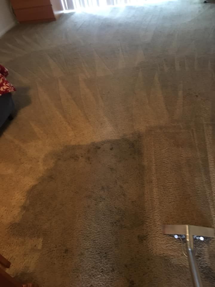 A vacuum cleaner is cleaning a dirty carpet in a living room.