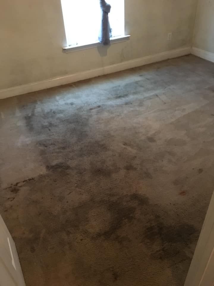 A room with a dirty carpet and a window.