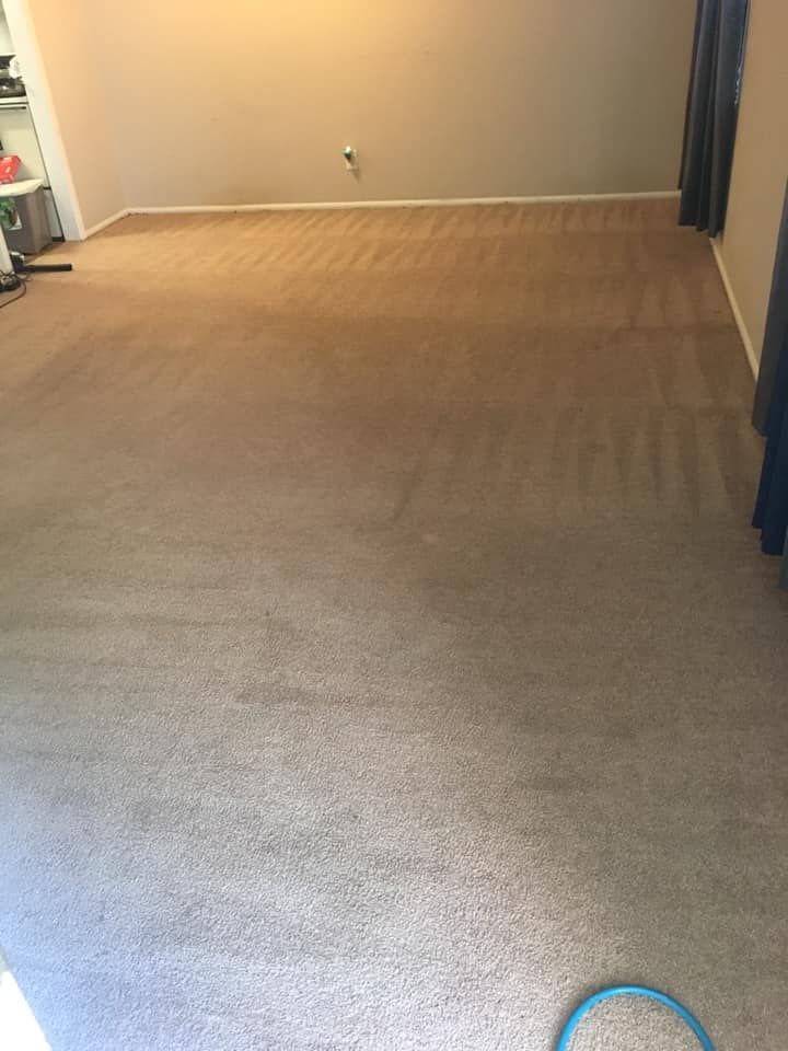 A living room with a carpeted floor and curtains.