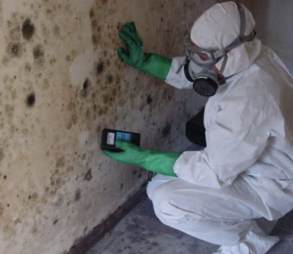 A person wearing a gas mask and gloves is examining a wall.