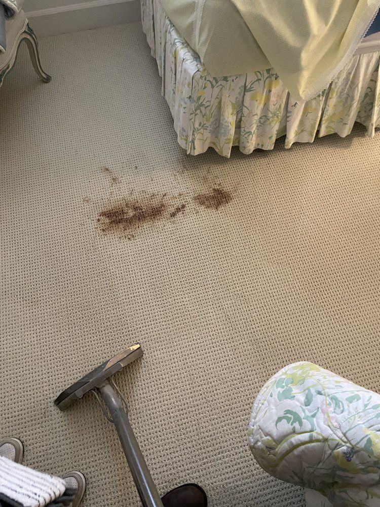 A vacuum cleaner is sitting on a dirty carpet next to a bed.