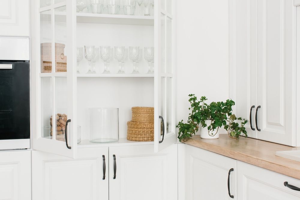 A Kitchen With White Cabinets and a Plant on the Counter — Gavin Cummings Kitchens in Dubbo, NSW