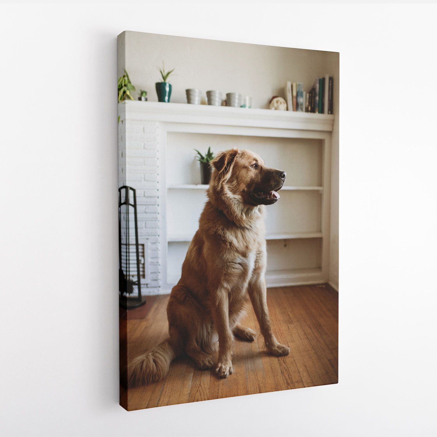 Canvas and Metal Art Prints