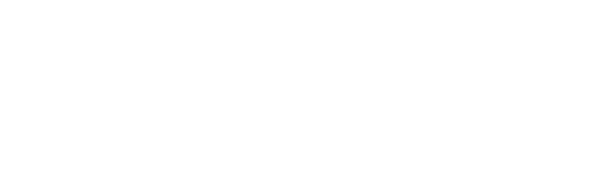 Zenith white logo.