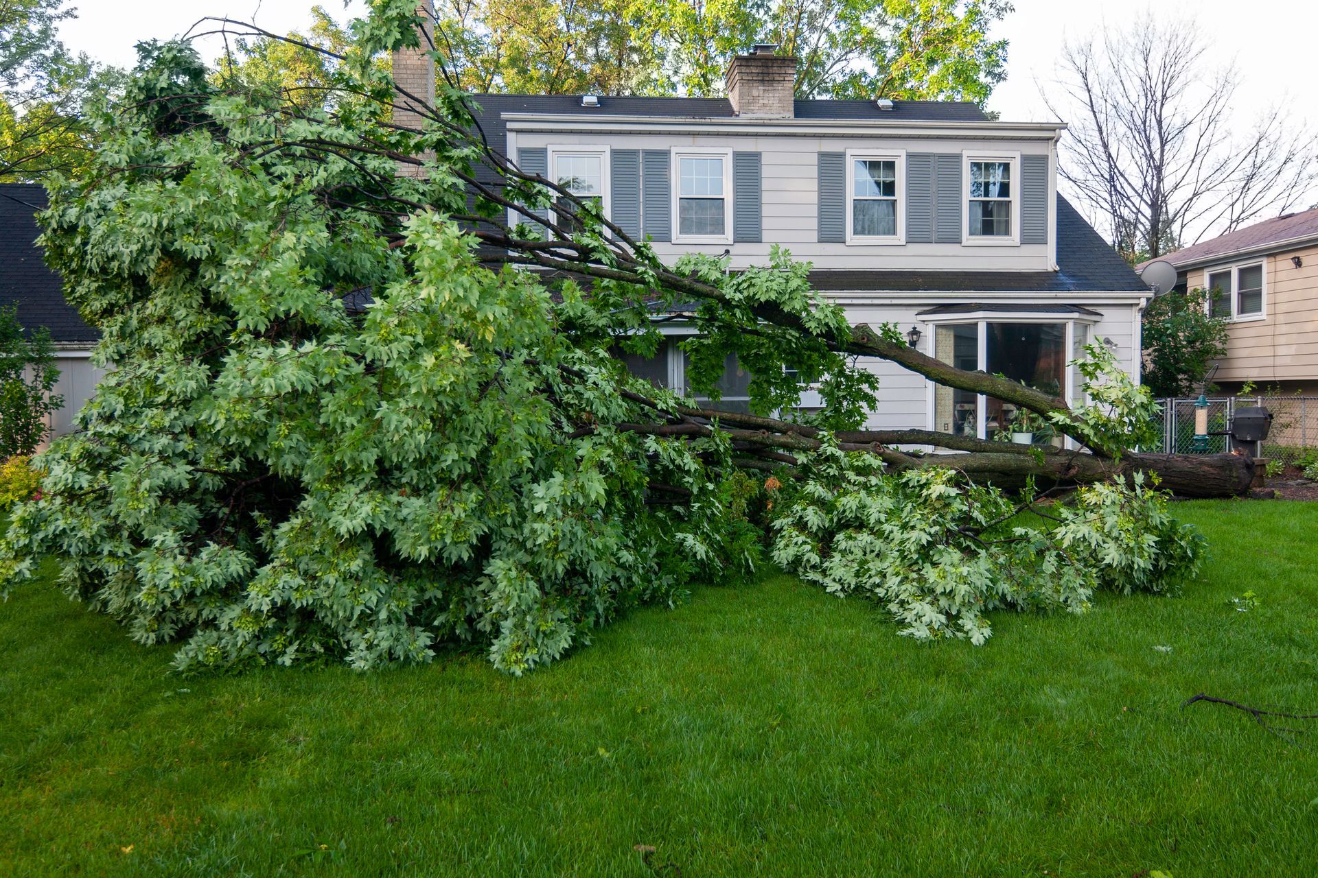 A large tree lies fallen on the roof of a two-story house on a green lawn.