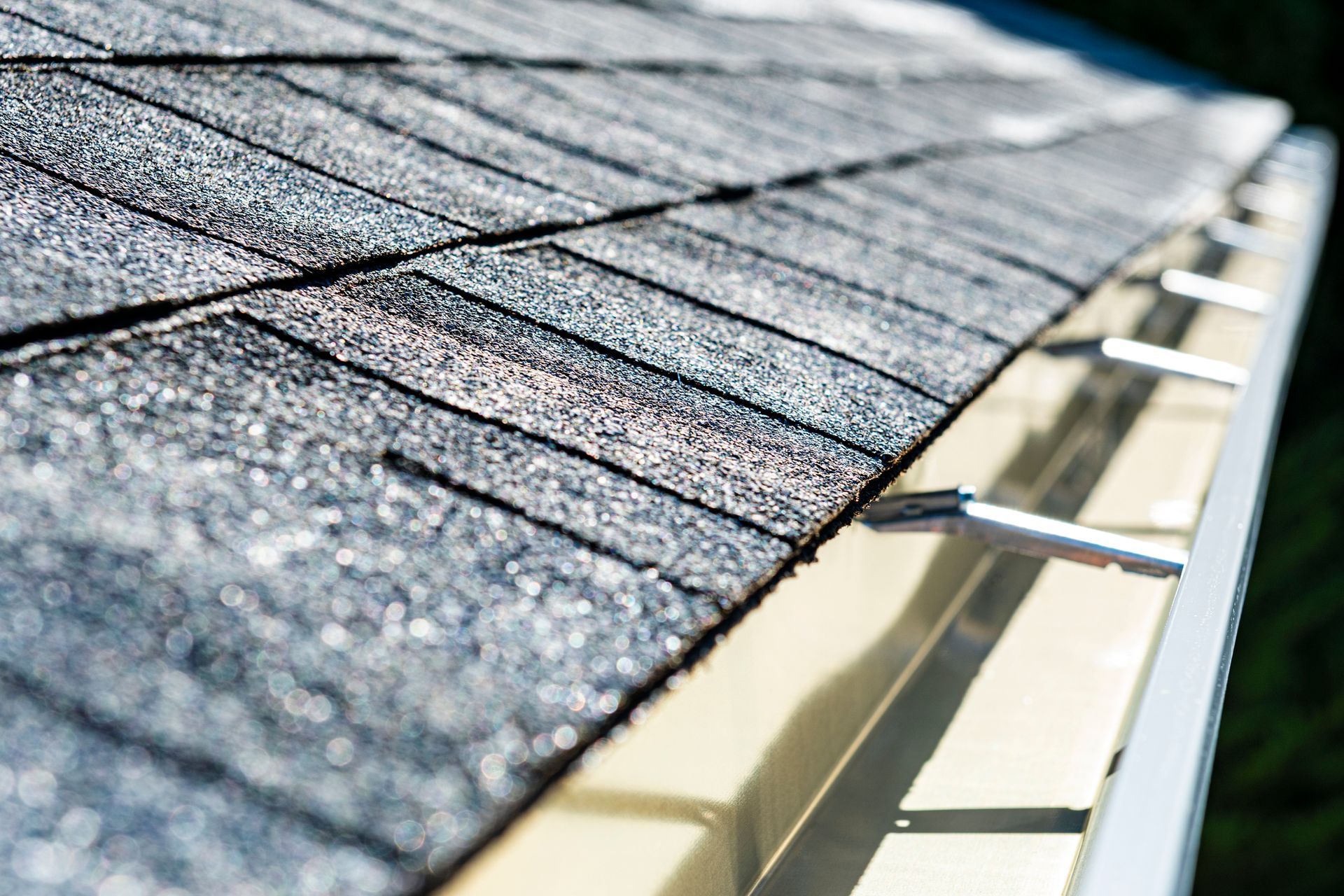 Close-up of a roof with asphalt shingles and a gutter; sunny day.