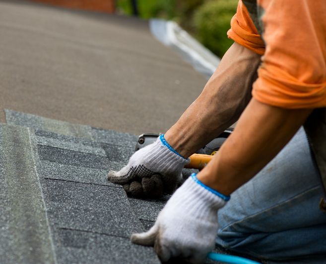 Roofer installing asphalt shingles.